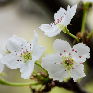 女👩搡╳╳╳乂乂H电影
